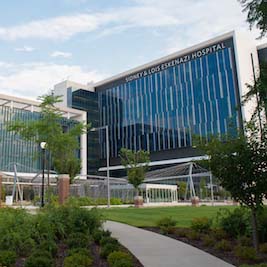 Sidney & Lois Eskenazi Hospital