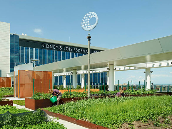 Rows of plants in raised beds fill the rooftop Sky Farm with the Sidney & Lois Eskenazi Hospital sign in the background
