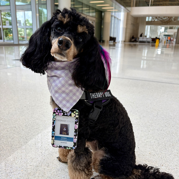 Ginny The Therapy Dog